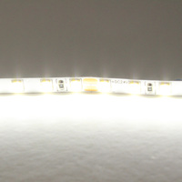 420505 LightstarЛента холодного белого свечения 24V