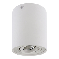 052016 BinocoСветильник точечный накладной декоративный под заменяемые галогенные или LED лампы