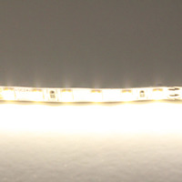 420504 LightstarЛента  нейтрального белого свечения 24V