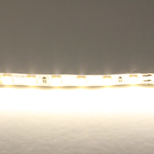 420504 Lightstar Лента  нейтрального белого свечения 24V