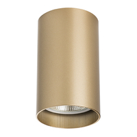 214440 RulloСветильник точечный накладной декоративный под заменяемые галогенные или LED лампы