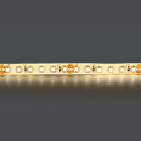 420854 LightstarЛента белого свечения LED 24V