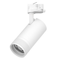 C4306QT CannoProСветильник д/треков QUATTRO 30W 2100LM 20-55G с адаптером