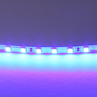 420515 LightstarЛента цветного свечения 24V, синий
