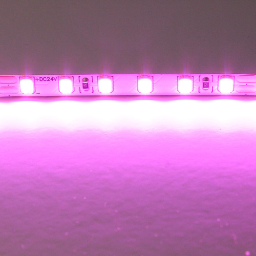 420512 Lightstar Лента цветного свечения 24V, розовый