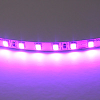 420518 LightstarЛента цветного свечения 24V, фиолетовый