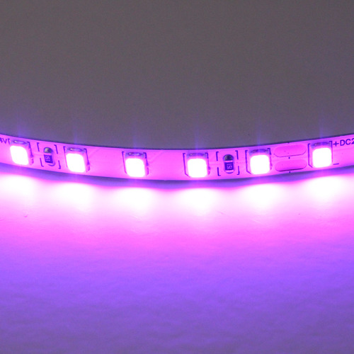 420518 Lightstar Лента цветного свечения 24V, фиолетовый