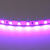 420518 Lightstar Лента цветного свечения 24V, фиолетовый