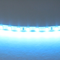 420516 LightstarЛента цветного свечения 24V, голубой