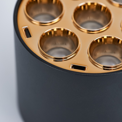 080642 Guarda Светильник потолочный 6W 470LM 4000K, черный/золото